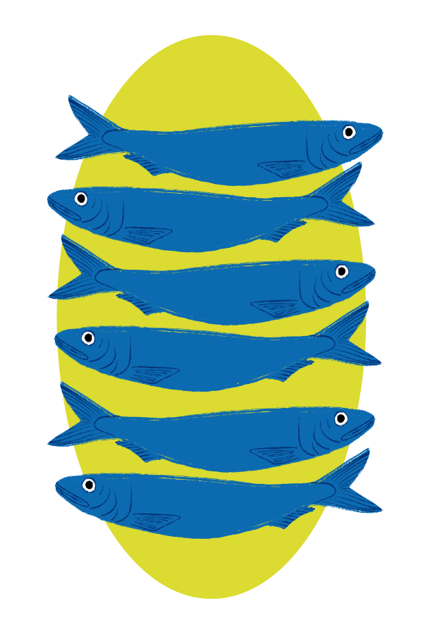 Sitna plava riba Poster - Slika 3